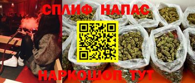 СК Тула