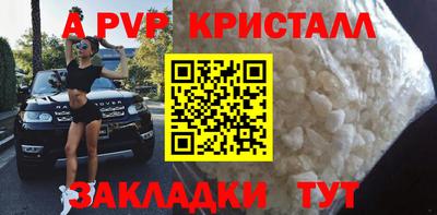 СК Тула