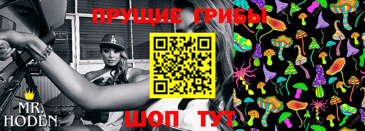 Галлюциногенные грибы GOLDEN TEACHER  Псилоцибиновые грибы Psilocybine cubensis  Вход с VPN  купить наркотик  Вязники 